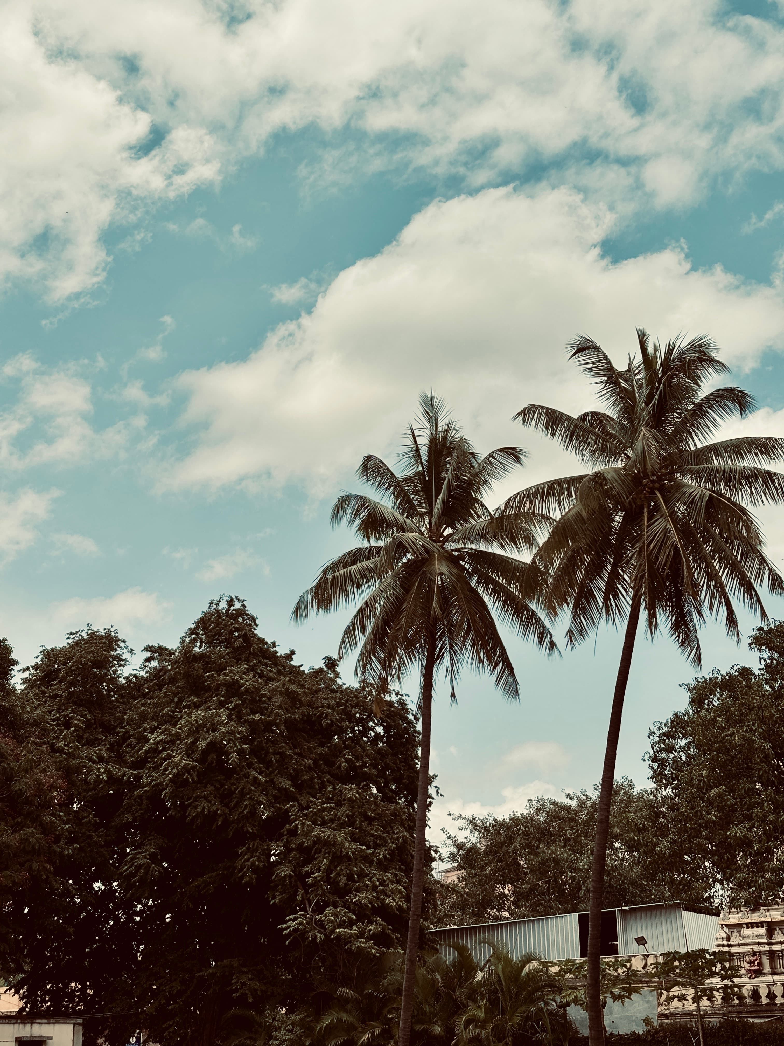 Photograph by Krishna Jhanwar (3)